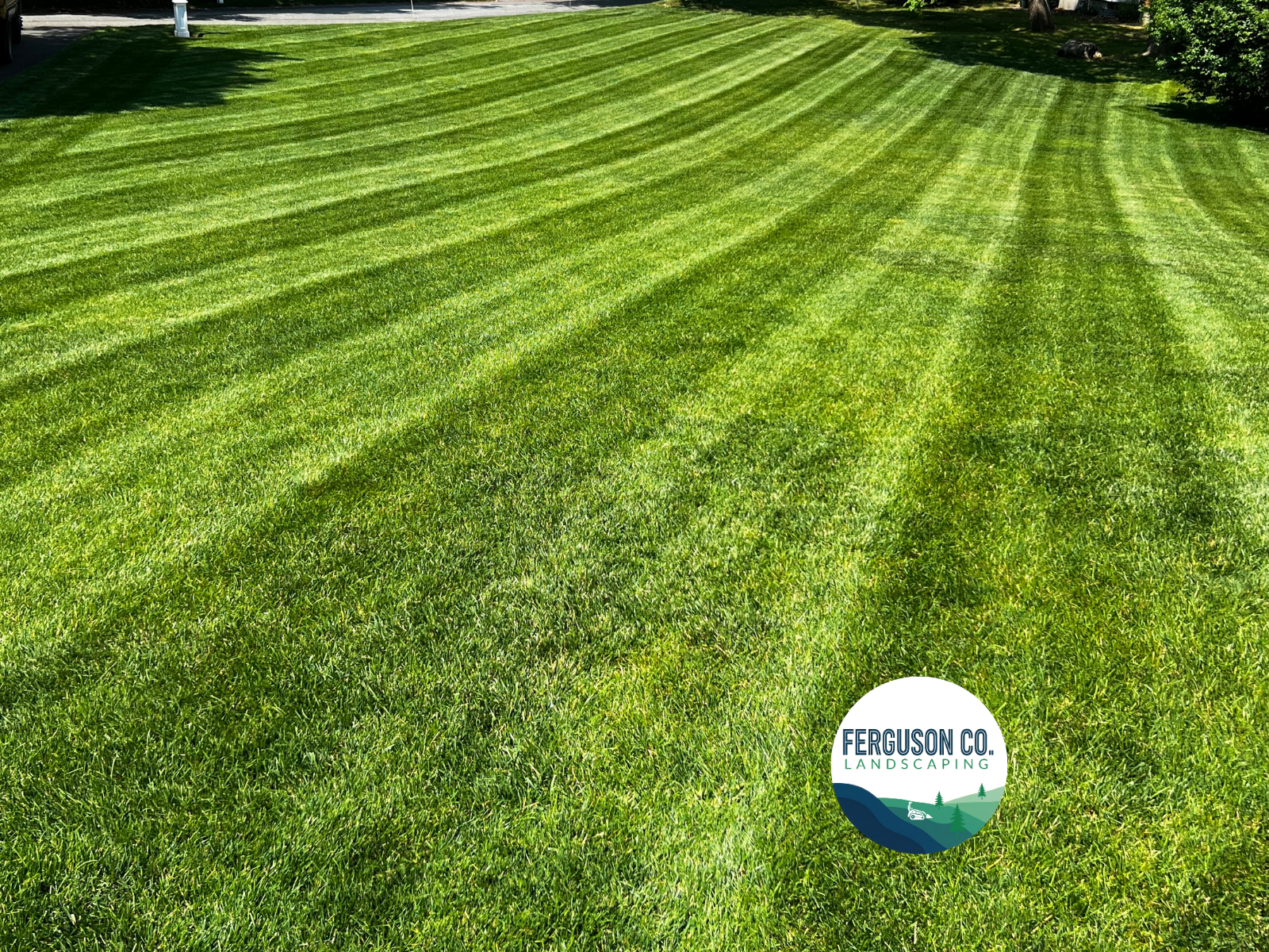 Ferguson Co. project photo β lawn care