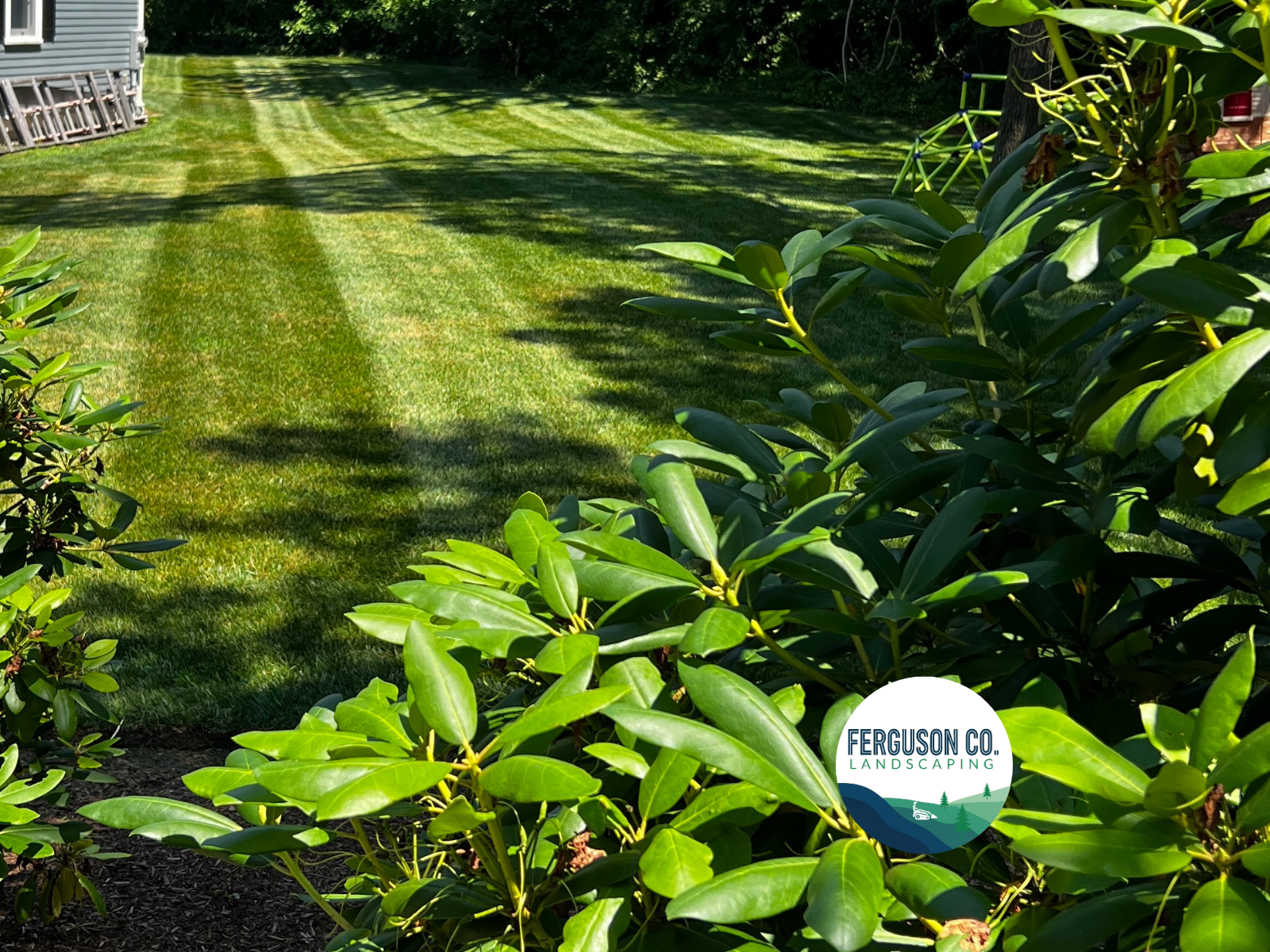 Ferguson Co. project photo β property care